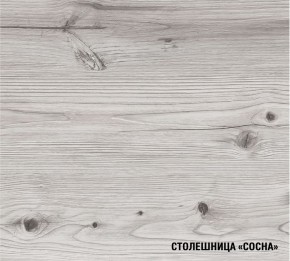 АСАЯ Кухонный гарнитур Экстра 2 (3000 мм) ПМ в Покачах - pokachi.ok-mebel.com | фото 8