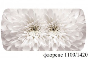 БОСТОН - 3 Стол раздвижной 1100/1420 опоры Триумф в Покачах - pokachi.ok-mebel.com | фото 66
