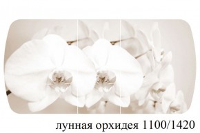 БОСТОН - 3 Стол раздвижной Лунная орхидея 1100/1420 опоры Триумф в Покачах - pokachi.ok-mebel.com | фото 3