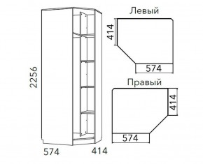 Детская Фанк Шкаф угловой Левый/Правый НМ 013.04-02 М в Покачах - pokachi.ok-mebel.com | фото 3