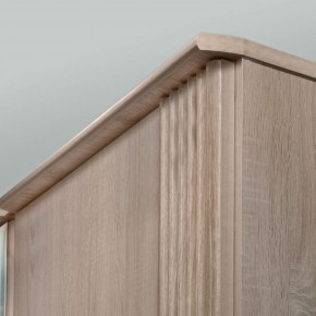 ДИАНА Д11А Шкаф для одежды в Покачах - pokachi.ok-mebel.com | фото 5
