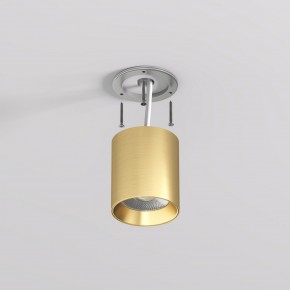 DK2610-SB Накладной светильник SHINE TUBE со светодиодом, D70*H80, IP20, 3000К, 10W, RA?90, сатинированная латунь, алюминий в Покачах - pokachi.ok-mebel.com | фото 3