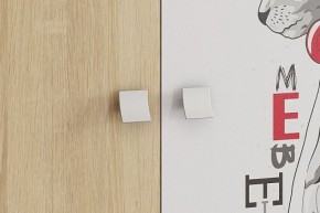 ЭНЕРДЖИ Шкаф 2-створчатый в Покачах - pokachi.ok-mebel.com | фото 4