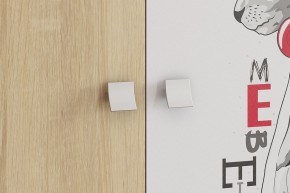 ЭНЕРДЖИ Шкаф 2-створчатый в Покачах - pokachi.ok-mebel.com | фото 4