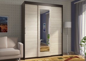ЭВА Шкаф-купе ШК-017 в Покачах - pokachi.ok-mebel.com | фото 3