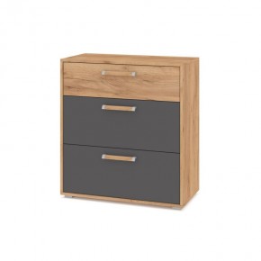ФЛОРИДА Гостиная (модульная) дуб золотой/графит в Покачах - pokachi.ok-mebel.com | фото 8
