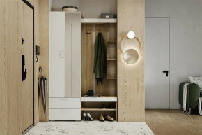Гарнитур для прихожей Торонто в Покачах - pokachi.ok-mebel.com | фото 5