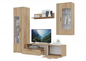 Гостиная Омега (Крафт золотой-Бетон) в Покачах - pokachi.ok-mebel.com | фото 4