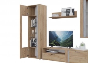 Гостиная Омега (Крафт золотой-Бетон) в Покачах - pokachi.ok-mebel.com | фото 5