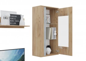 Гостиная Омега (Крафт золотой-Бетон) в Покачах - pokachi.ok-mebel.com | фото 6