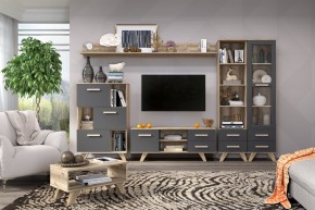 Гостиная Вега Скандинавия (комплект 6) в Покачах - pokachi.ok-mebel.com | фото 2