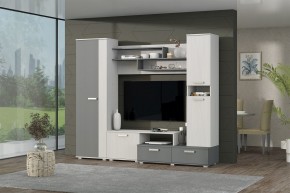 Гостиная Юна (Анкор светлый/Графит) в Покачах - pokachi.ok-mebel.com | фото 3