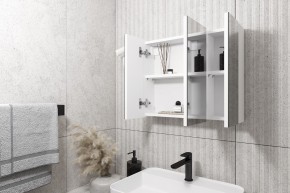Кларити Шкаф зеркальный 16.312.08 в Покачах - pokachi.ok-mebel.com | фото 2