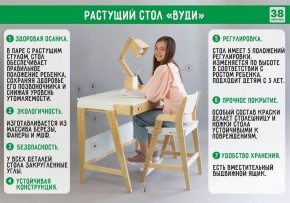 Комплект растущий стол и стул с чехлом 38 попугаев «Вуди» (Серый, Береза, Салют) в Покачах - pokachi.ok-mebel.com | фото