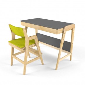 Комплект растущий стол и стул с чехлом 38 попугаев «Вуди» (Серый, Без покрытия, Грин) в Покачах - pokachi.ok-mebel.com | фото