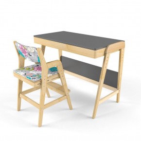 Комплект растущий стол и стул с чехлом 38 попугаев «Вуди» (Серый, Без покрытия, Мечта) в Покачах - pokachi.ok-mebel.com | фото