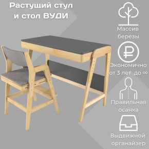 Комплект растущий стол и стул с чехлом 38 попугаев «Вуди» (Серый, Без покрытия, Серый) в Покачах - pokachi.ok-mebel.com | фото