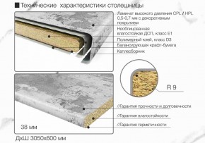 Кухонный фартук со столешницей (А-01) в едином стиле (3050 мм) в Покачах - pokachi.ok-mebel.com | фото 6