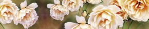 Кухонный фартук Цветы 066 МДФ матовый (3000) Flowers в Покачах - pokachi.ok-mebel.com | фото 1
