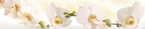 Кухонный фартук Цветы 328 МДФ матовый (3000) Flowers в Покачах - pokachi.ok-mebel.com | фото 1
