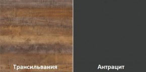 Кухонный гарнитур угловой Трансильвания 2400x1600 мм (Стол. 38 мм) Антрацит/Трансильвания в Покачах - pokachi.ok-mebel.com | фото 3