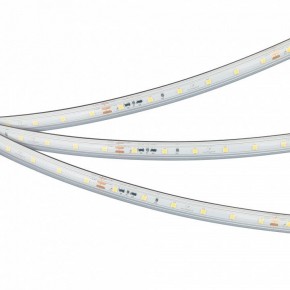 Лента светодиодная Arlight IC-PS-A60-10mm 24V 050656 в Покачах - pokachi.ok-mebel.com | фото