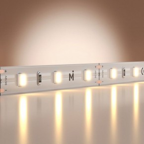Лента светодиодная Maytoni Base 201162 в Покачах - pokachi.ok-mebel.com | фото