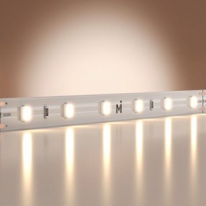 Лента светодиодная Maytoni Base 201166 в Покачах - pokachi.ok-mebel.com | фото