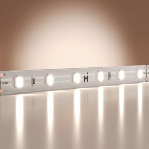 Лента светодиодная Maytoni Base 201167 в Покачах - pokachi.ok-mebel.com | фото