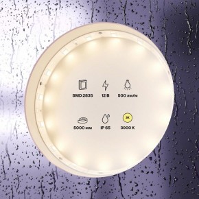 Лента светодиодная Maytoni Led strip 10105 в Покачах - pokachi.ok-mebel.com | фото 2