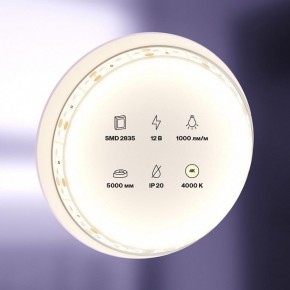Лента светодиодная Maytoni Led strip 10109 в Покачах - pokachi.ok-mebel.com | фото 2