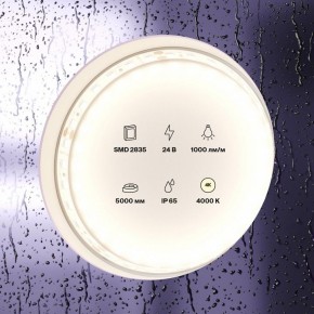 Лента светодиодная Maytoni Led strip 10146 в Покачах - pokachi.ok-mebel.com | фото 3