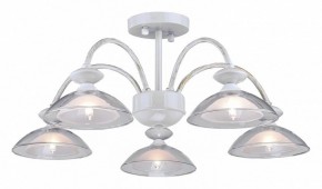 Люстра на штанге Arti Lampadari Noventa Noventa E 1.1.5 W в Покачах - pokachi.ok-mebel.com | фото