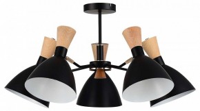 Люстра на штанге EVOLUCE VISTA SLE1256-402-05 в Покачах - pokachi.ok-mebel.com | фото