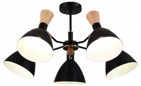 Люстра на штанге EVOLUCE VISTA SLE1256-402-05 в Покачах - pokachi.ok-mebel.com | фото 6