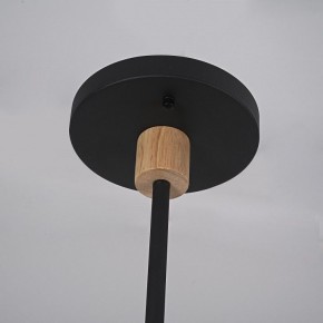 Люстра на штанге Imperiumloft TURNA Black TURNA-DBL01 в Покачах - pokachi.ok-mebel.com | фото 9