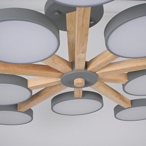 Люстра на штанге Imperiumloft TURNA Gray TURNA-B01 в Покачах - pokachi.ok-mebel.com | фото 10