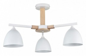 Люстра на штанге Lumion Colange 8095/3C в Покачах - pokachi.ok-mebel.com | фото