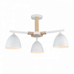 Люстра на штанге Lumion Colange 8095/3C в Покачах - pokachi.ok-mebel.com | фото 2