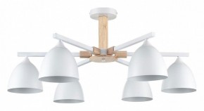 Люстра на штанге Lumion Colange 8095/6C в Покачах - pokachi.ok-mebel.com | фото