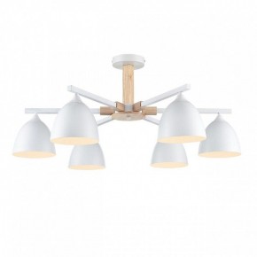 Люстра на штанге Lumion Colange 8095/6C в Покачах - pokachi.ok-mebel.com | фото 2