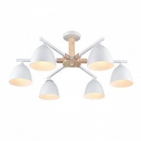 Люстра на штанге Lumion Colange 8095/6C в Покачах - pokachi.ok-mebel.com | фото 3
