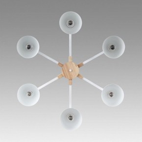 Люстра на штанге Lumion Colange 8095/6C в Покачах - pokachi.ok-mebel.com | фото 4