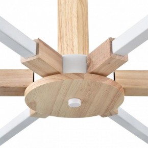 Люстра на штанге Lumion Colange 8095/6C в Покачах - pokachi.ok-mebel.com | фото 7