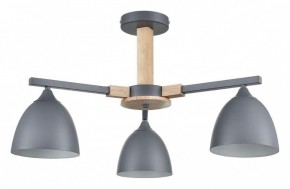 Люстра на штанге Lumion Colange 8096/3C в Покачах - pokachi.ok-mebel.com | фото