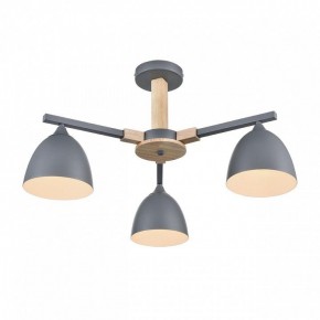 Люстра на штанге Lumion Colange 8096/3C в Покачах - pokachi.ok-mebel.com | фото 3