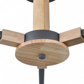 Люстра на штанге Lumion Colange 8096/3C в Покачах - pokachi.ok-mebel.com | фото 7