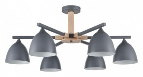 Люстра на штанге Lumion Colange 8096/6C в Покачах - pokachi.ok-mebel.com | фото