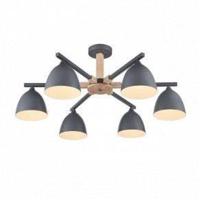 Люстра на штанге Lumion Colange 8096/6C в Покачах - pokachi.ok-mebel.com | фото 3