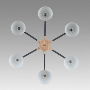 Люстра на штанге Lumion Colange 8096/6C в Покачах - pokachi.ok-mebel.com | фото 4